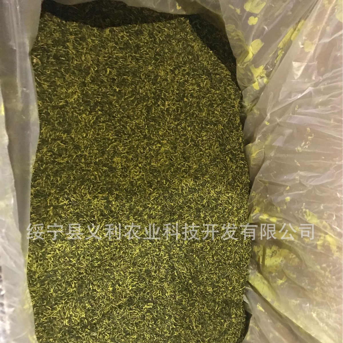 2025 New Tea Eucommia Male Flower Manufacturer Wholesale Large Supply 500g Premium Genuine Pollen Multi-Golden Flower Needle Tea