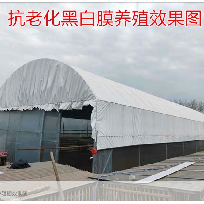 Brand New Agricultural Greenhouse Film Po Vegetable Insulation Film Greenhouse Greenhouse Drip-Free Plastic Cloth Plastic Film Sun Protection