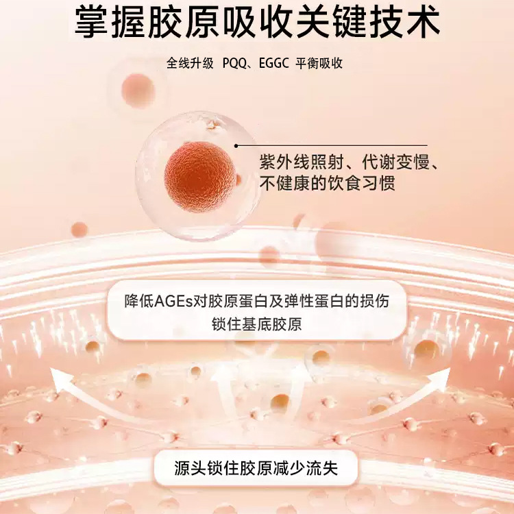 Collagen Peptide Oral Liquid Small Molecule Peptide PQQ Fish Collagen Activity Tripeptide Sugar Anti-drink Hyaluronic Acid Drink