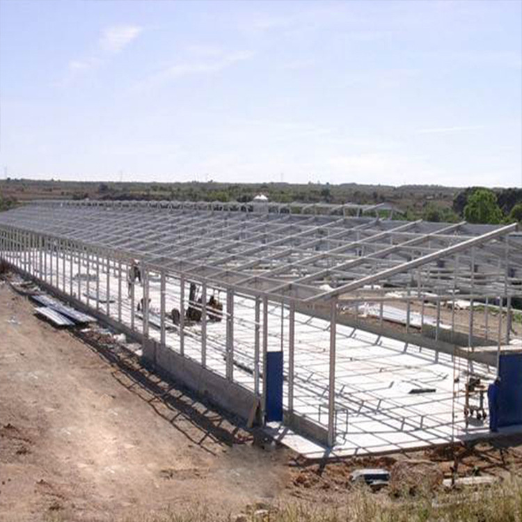 Steel Structure chicken coop export production prefabricated agricultural poultry steel structure House is cheap chicken coop