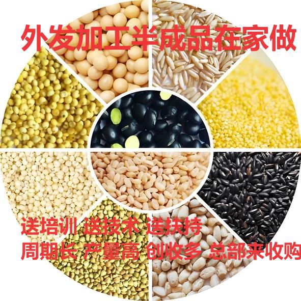 Экстракция соды: новая бизнес-возможность превратить урожай в золото