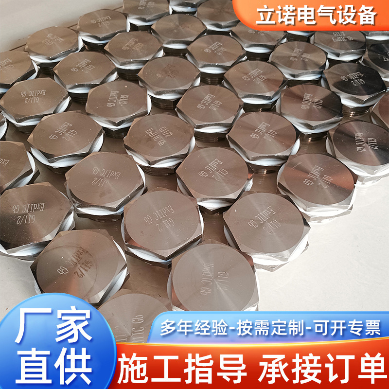 304 Stainless Steel Explosion-Proof Plug, External Hexagonal Explosion-Proof Box Sealing Plug, Solid External Wire Stuffy Cover, Threaded Plug Cap