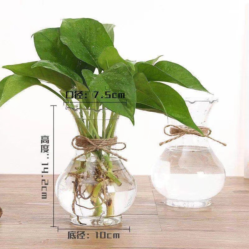 Thickened plastic hydroponic plant vase Hyacinth green radish copper money grass rich bamboo hydroponic bottle seed ball hydroponic bottle