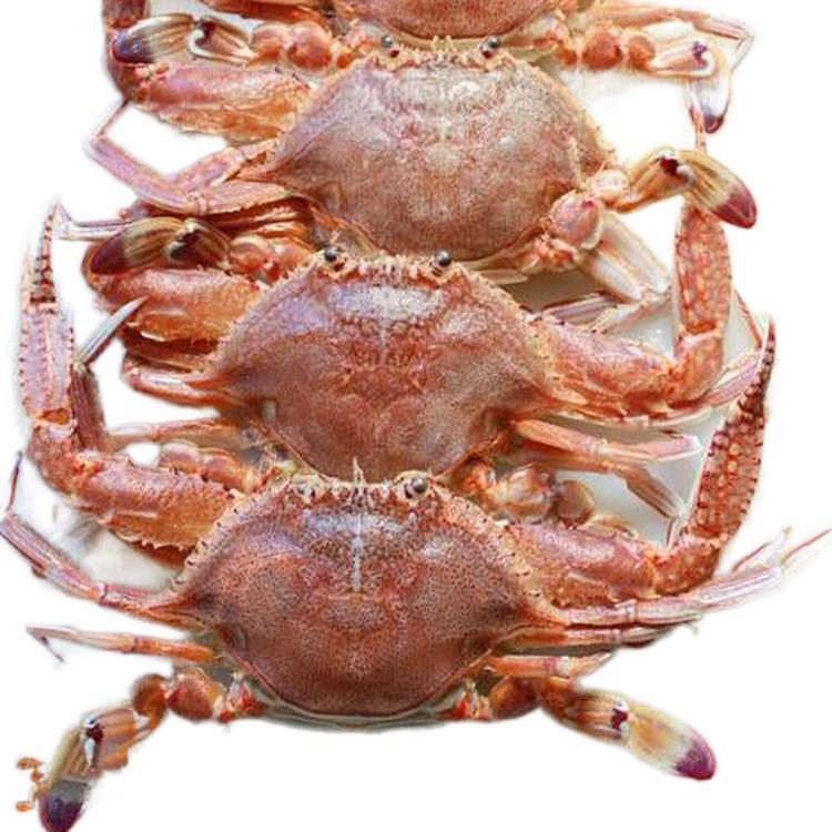 Flat Crab Meat, Hermit Crabs, Thin-Shelled and Delicious, Directly Sold by the Manufacturer, Fresh Seafood, Sweet and Savory, Perfect for Hot Pot, Fresh and Plump