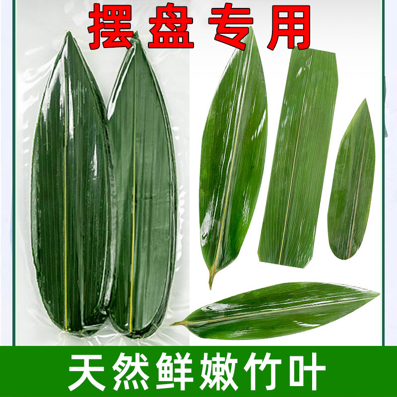 Special Plate Small Zongye Japanese Sushi Cuisine Barbecue Hot Pot Sashimi Milk Tea Decoration Three Leaves Indocamalamus Leaves