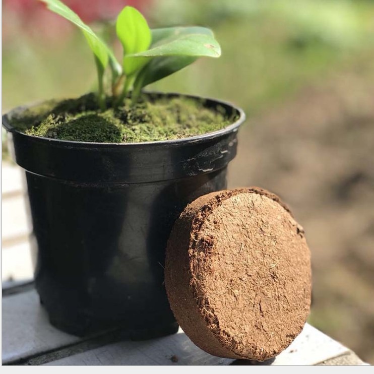 Coconut cake planting soil coconut brick cake potted compressed soil nutrient block fertilizer nutrient soil flower nutrient soil