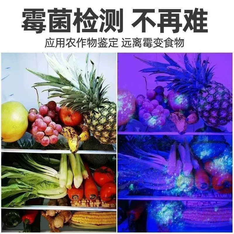 Wholesale Uv Light for Identification of Seafood, Vegetables, and Fruits, Pesticide Residue Detection, Money Detection, and Fluorescent Detection of Cat Moss