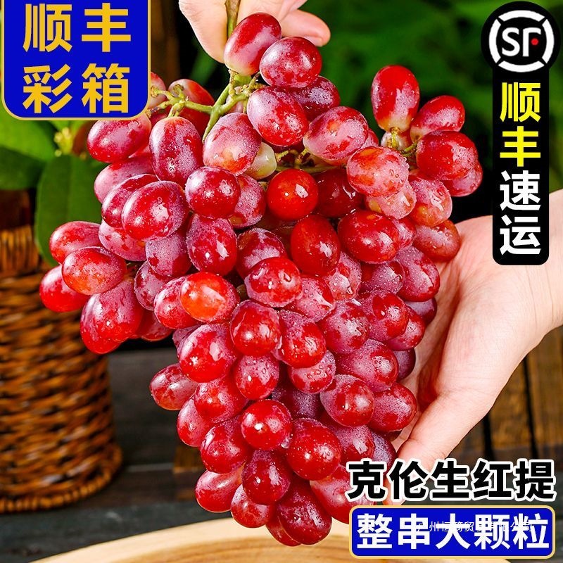 1000 Grams of Fresh Seedless Red Grapes, Fresh Fruit Grapes
