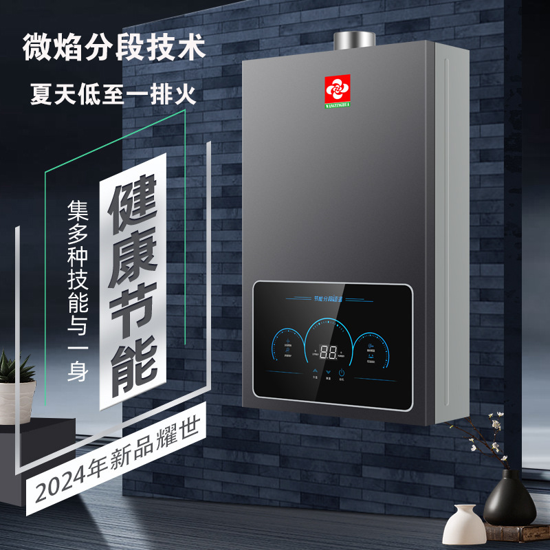 Free Shipping Gas Water Heater Electric Household Gas Bath Constant Temperature Natural Gas Forced Exhaust Liquefied Gas Balanced Type Can Be Installed