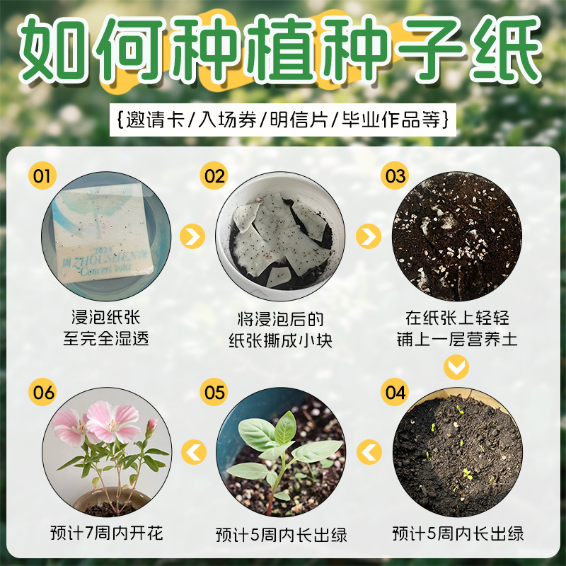 Environmentally Friendly Seed Cards, Customized Wedding Invitations, Invitations, Cultural and Creative Peripheral Creative Greeting Cards, Tickets and Postcards, Customized