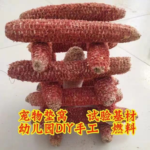 New goods farm corn cob corn cob edible fungus raw materials 500g