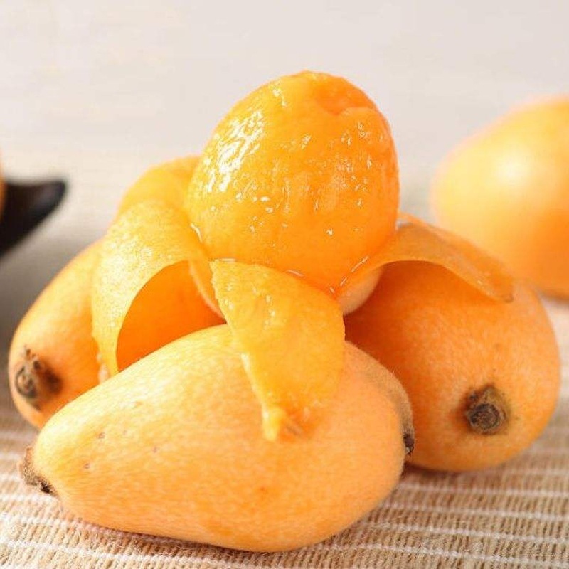 Sichuan Loquat Fresh Fruit Miyi Loquat Whole Piece Free Shipping Seasonal Fruit Loquat Dropshipping