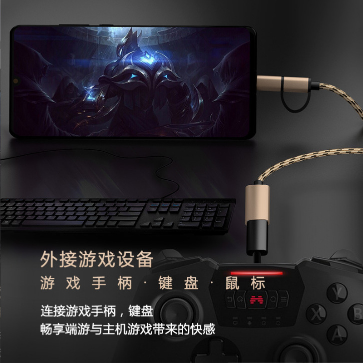 Otg Adapter Cable Typec to USB Converter USB Flash Drive Mobile Phone Charging Transmission Data Cable Two-In-One Adapter