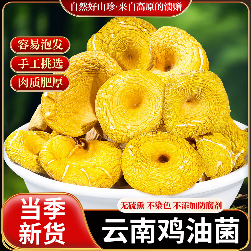 New Products Chicken Oil Mushroom Dried Yunnan Specialty Mushroom Elm Mushroom Fresh Yellow Silk Mushroom Gold Mushroom Mushroom Soup Bag Soup Pot Material