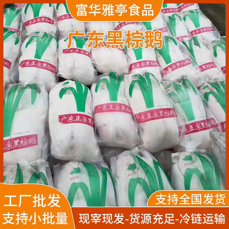 Authentic Black and Brown Goose, Freshly Slaughtered and Ready to Eat, Qingyuan Black and Brown Goose Hotel Hong Kong-Style Tea Restaurant Special Roasted Goose