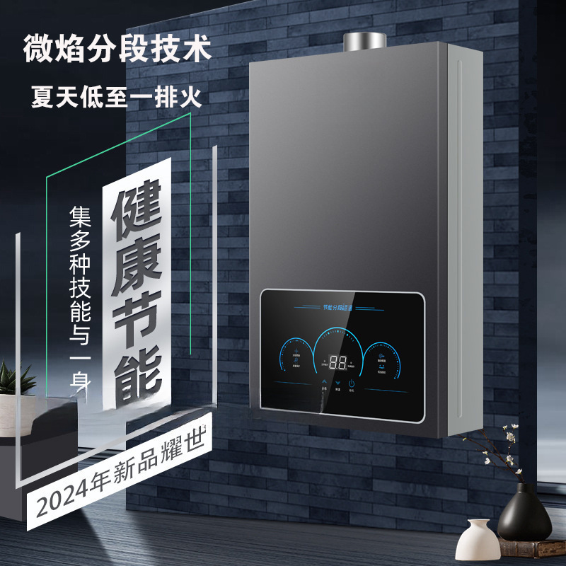 Free Shipping Gas Water Heater Electric Household Gas Bath Constant Temperature Natural Gas Forced Exhaust Liquefied Gas Balanced Type Can Be Installed