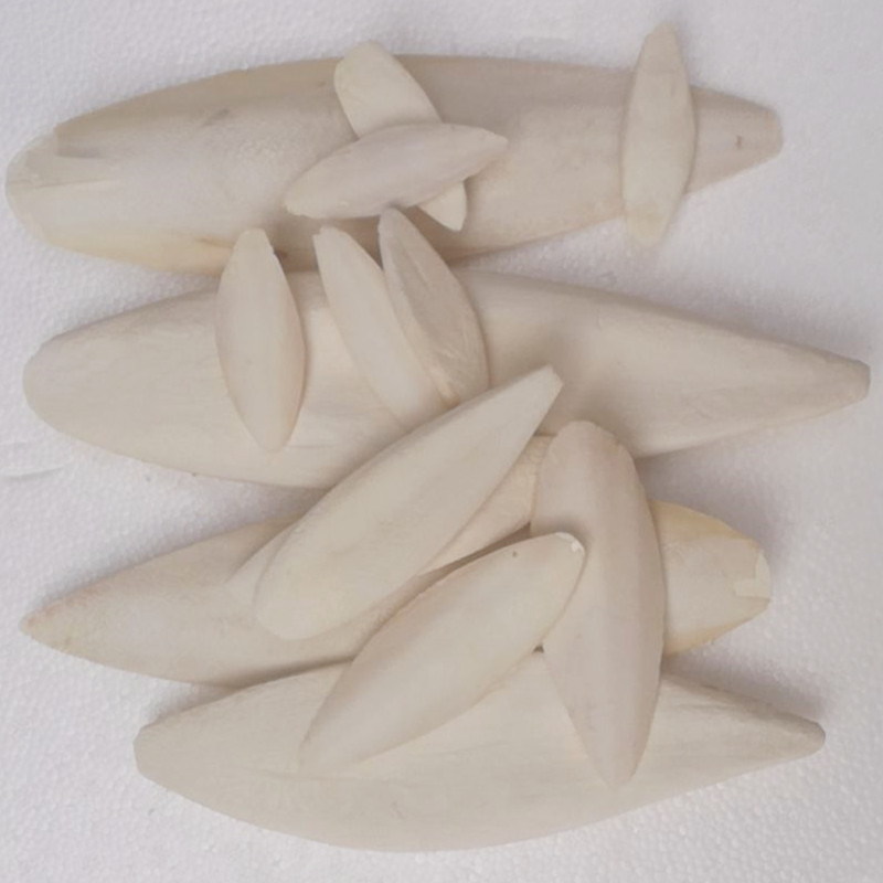 Factory Direct Sales of Seafood Polished Bird Snacks for Pets, Reptile Teeth Grinding, Cuttlefish Bone
