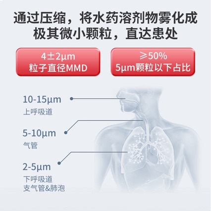 Atomization mask handheld atomizer ultrasonic spray household portable atomizer English foreign trade cross-border e-commerce