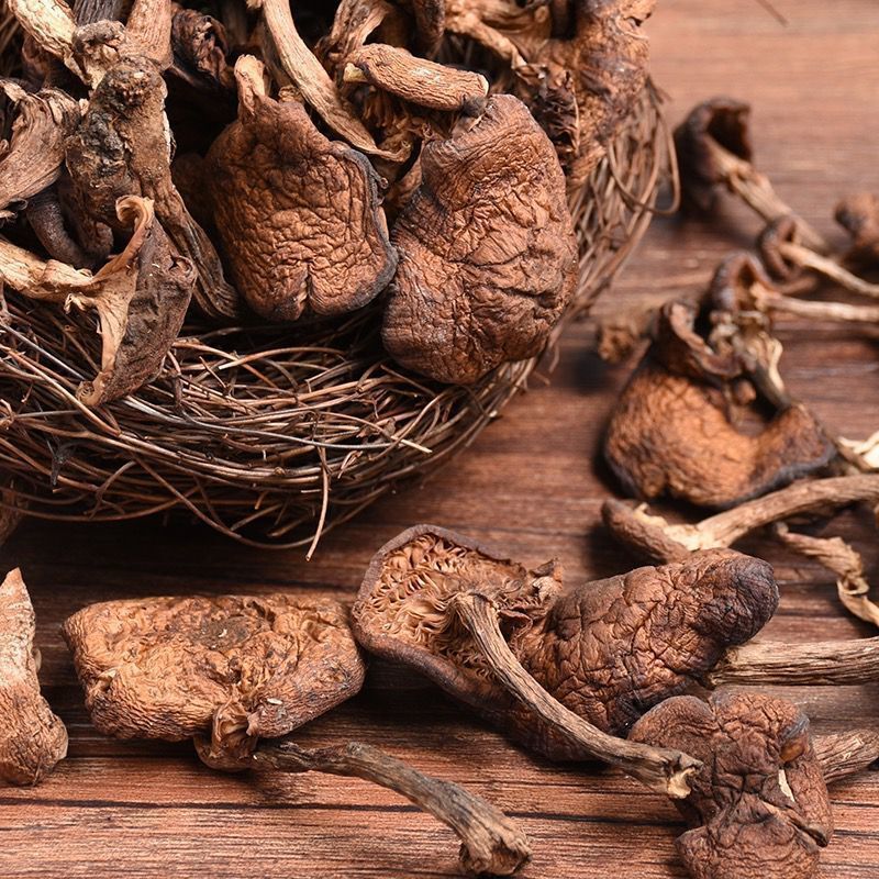 Northeast Wild Hazelnut Mushroom Dry Goods Chicken Stewed Mushrooms Wholesale Changbai Mountain Local Specialty Real Mushrooms Rootless Net Weight Delivery
