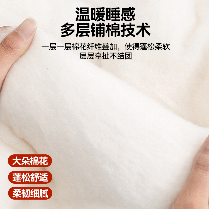 Xinjiang Cotton Mattress Mattress Mattress Home Bedroom Cushion Winter Thickened Cotton Cushion Mattress Single 1.5m