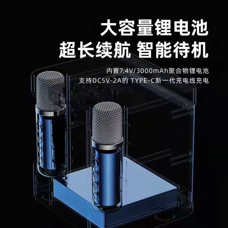 Ys203K Music Bluetooth Audio Cross-Border Wireless Dual Microphone Ktv All-In-One Home Outdoor 203 Bluetooth Speaker