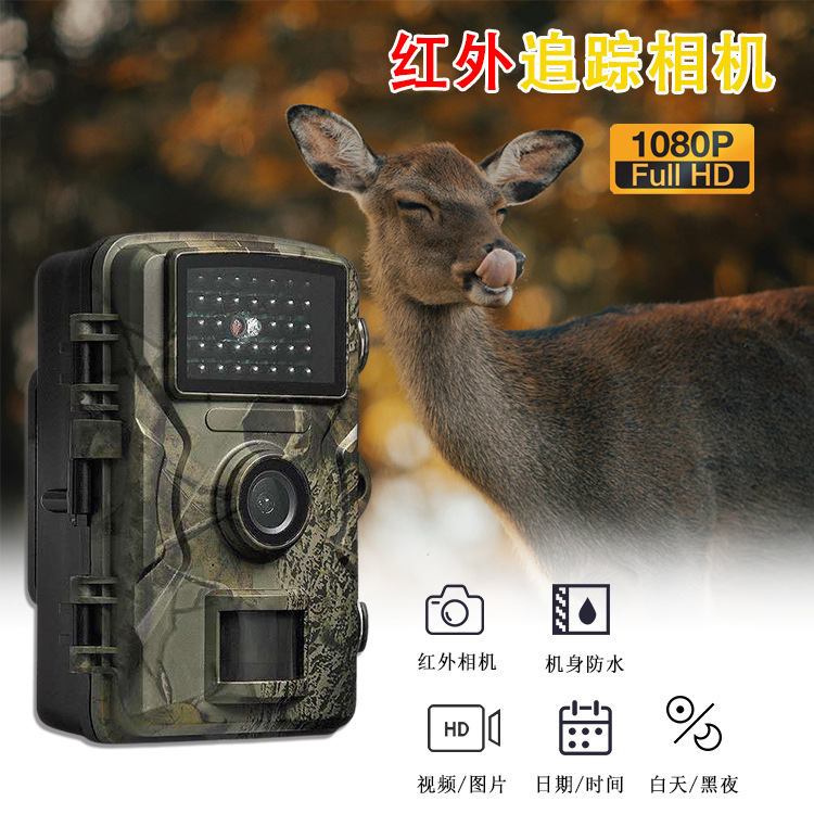 Кросс-бордовая охотничья камера, полевая камера наблюдения, водонепроницаемая IP66, инфракрасная ночная съемка для садов и ферм