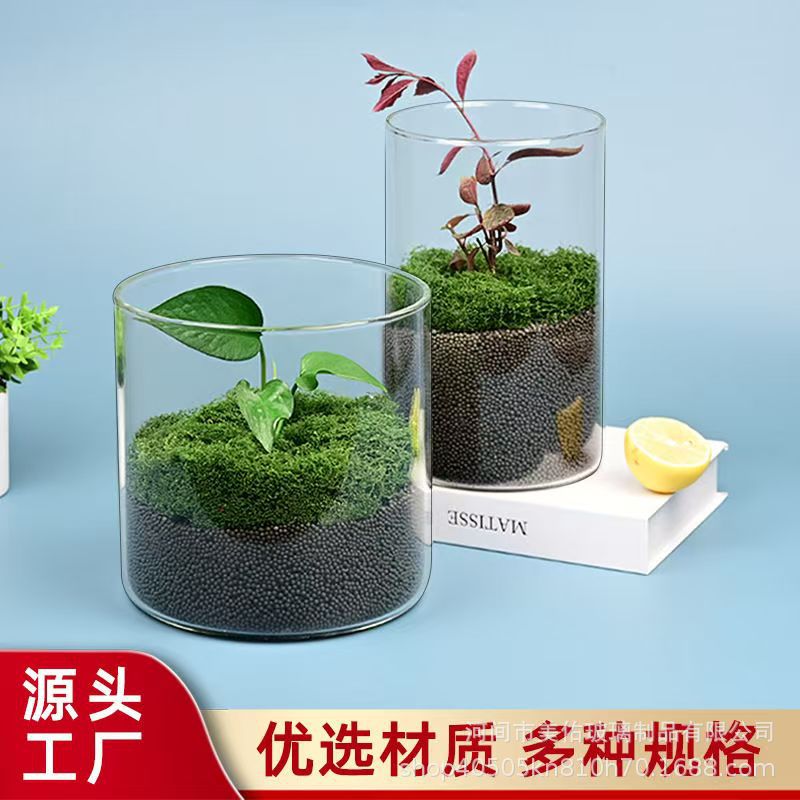 Стеклянная банка ландшафтный настольный офисный креативный ландшафтный декор ваза мох для комнатных растений гидропонная ваза аквариумная бутылка