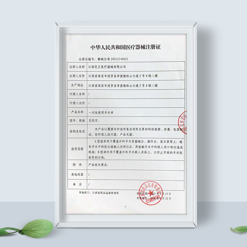 Disposable Bed Sheetss, Medical Sterile Bed Sheetss, Waterproof Non-Woven Diaper Pads for the Elderly, Adult Beauty Salon Bed Sheetss