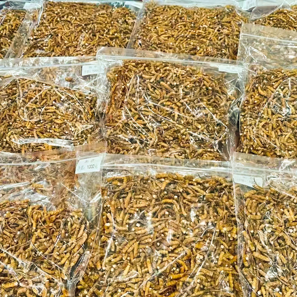 Xizang Girl Cordyceps Cordyceps Cordyceps Xizang Naqu Frozen Dry Goods Cordyceps Cordyceps Cordyceps Cordyceps Cordyceps Cordyceps Cordyceps Cordyceps Cordyceps Cordyceps Cordyceps Cordyceps Cordyceps Cordyceps Cordyceps Cordyceps Cordyceps Cordyceps Cordyceps Cordyceps Cordycep
