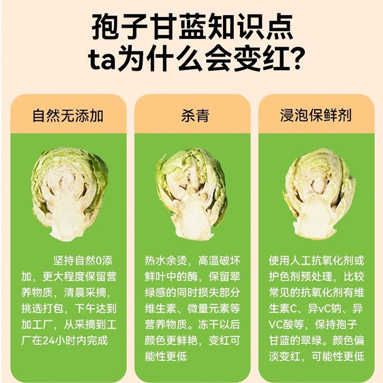 Hamster Snacks Freeze-Dried Spore Cabbage Teething Fattening Ready-To-Eat Pet Vegetables Golden Bear Rabbit Squirrel Feed