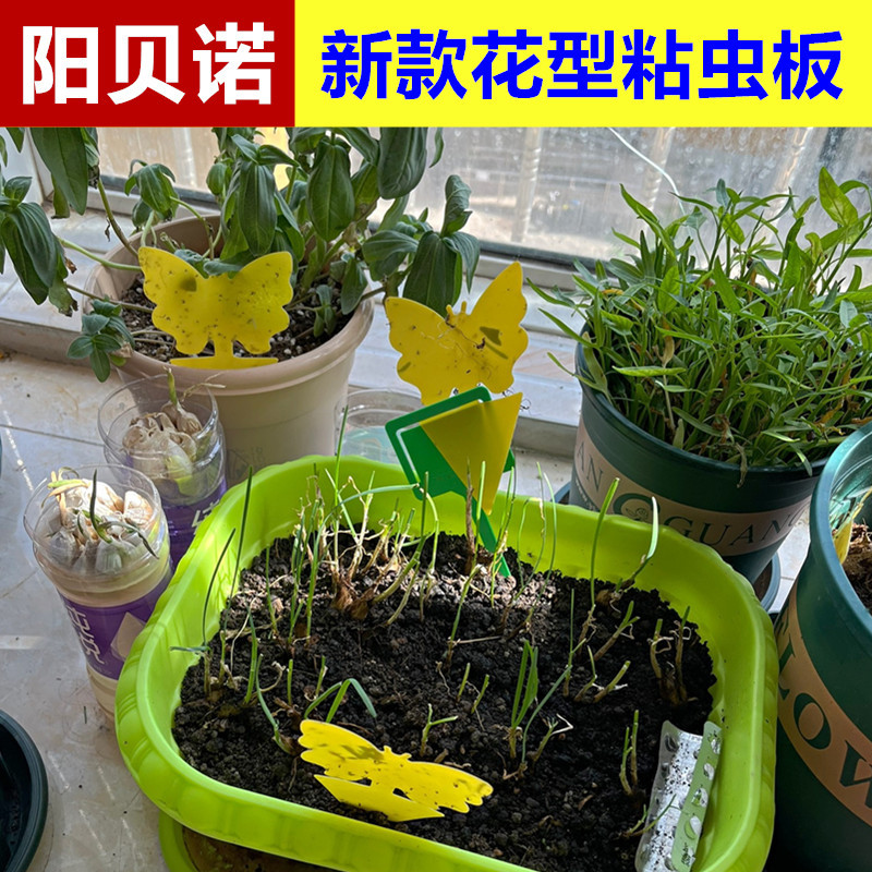 Cross-border Amazon new shaped sticky insect board spot trap board yellow blue flower sticky insect board manufacturers wholesale