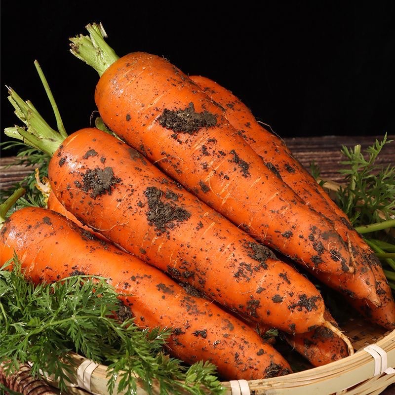 Carrot 2.5kg Whole Box of Fresh Vegetables, Crispy, Sweet and Refreshing with Mud, Free Shipping 3 Wholesale 10 Farmhouse Freshly Dug Sand Radish