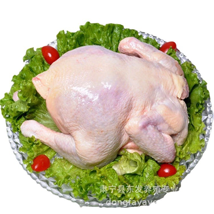 Dongfa Breeding Factory Wholesale Frozen Fresh Old Chicken Chicken Fresh淘汰 Chicken Whole Chicken