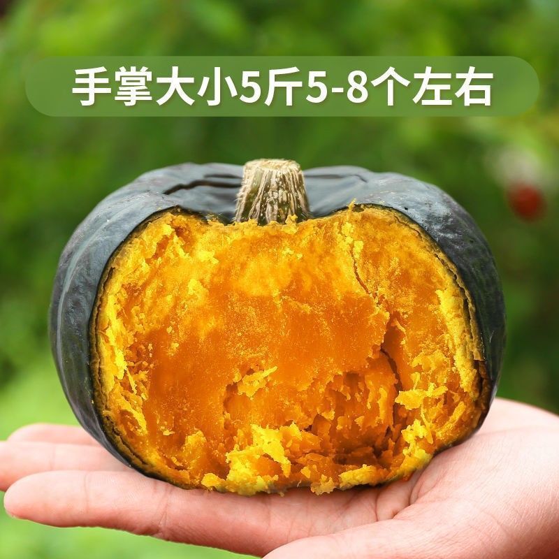 Zhenbeibei Pumpkin 2.5kg Chestnut Flavor Baby Food Vegetable Fresh Japanese Old Fan Beibei Small Pumpkin 1 Jin 1.5kg