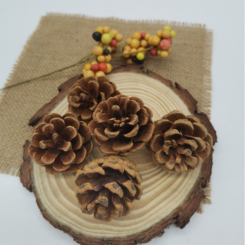 Natural pine cone Christmas decoration wood dried flower eternal flower dyed white pine cone diy accessories Christmas Fruit Wholesale