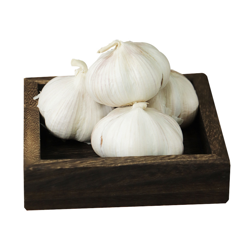 Seasonal Fresh Garlic Heads Grown by Farmers Without Additives for Cooking, Seasoning and Flavoring, Multi-Petal Medium-Sized White-Skinned Garlic Heads Wholesale