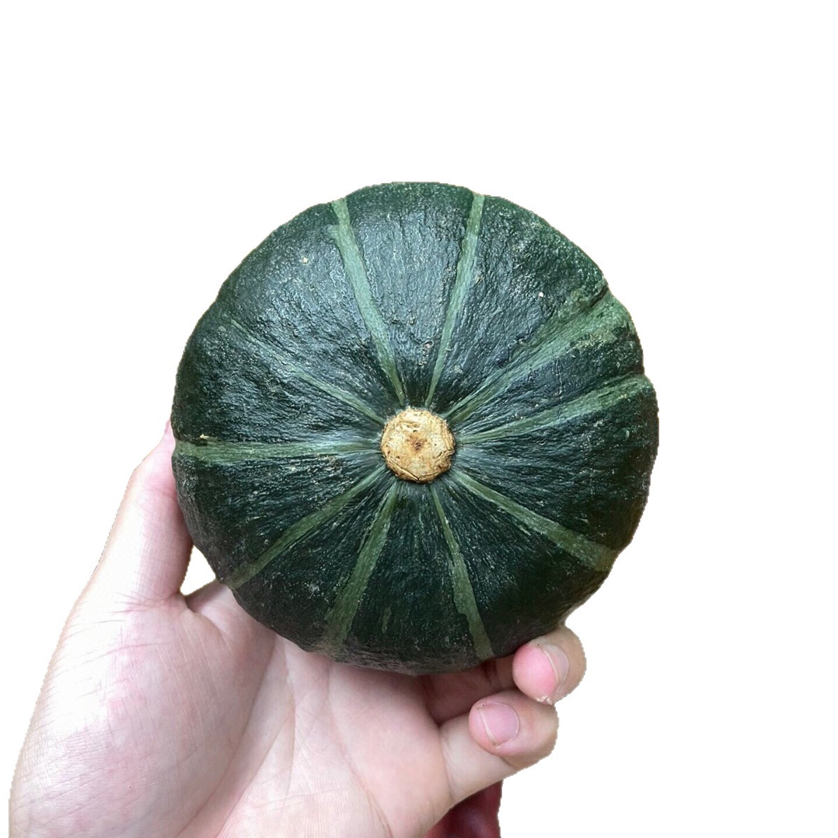 Beibei Pumpkin Fresh Chestnut Flavor Old Pumpkin Authentic Sweet Pink Glutinous Baby Pumpkin 2.5kg Free Shipping Fruits and Vegetables