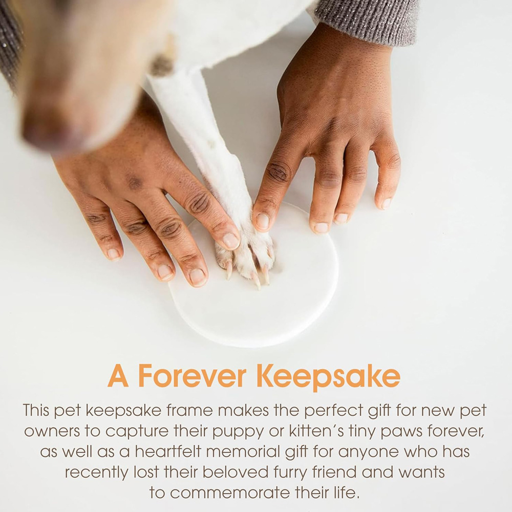 Cross-Border Pet Nose Print Commemorative Plaque Handprint Mud Set Cat and Dog Paw Mud DIY Pet Palm Print Clay Ink Mud White