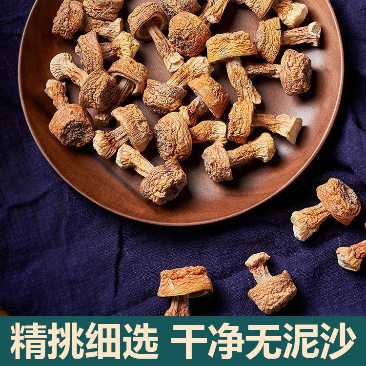 2025 Yunnan Deep Mountain Agaricus Blazei Dry Goods Brazilian Mushroom Natural Plateau Cultivated Mushroom Raw Materials 250g in Bulk