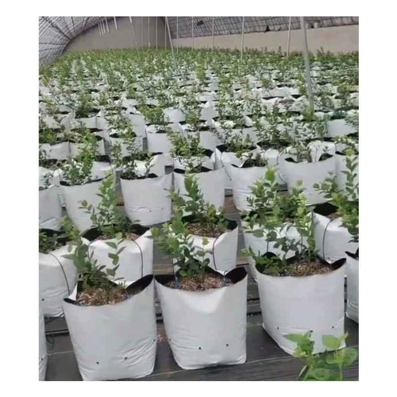 Сумка для посадки белая снаружи и черная внутри, сумка для рассады без почвы, мешок для роста, мешок для субстрата для фруктов и овощей