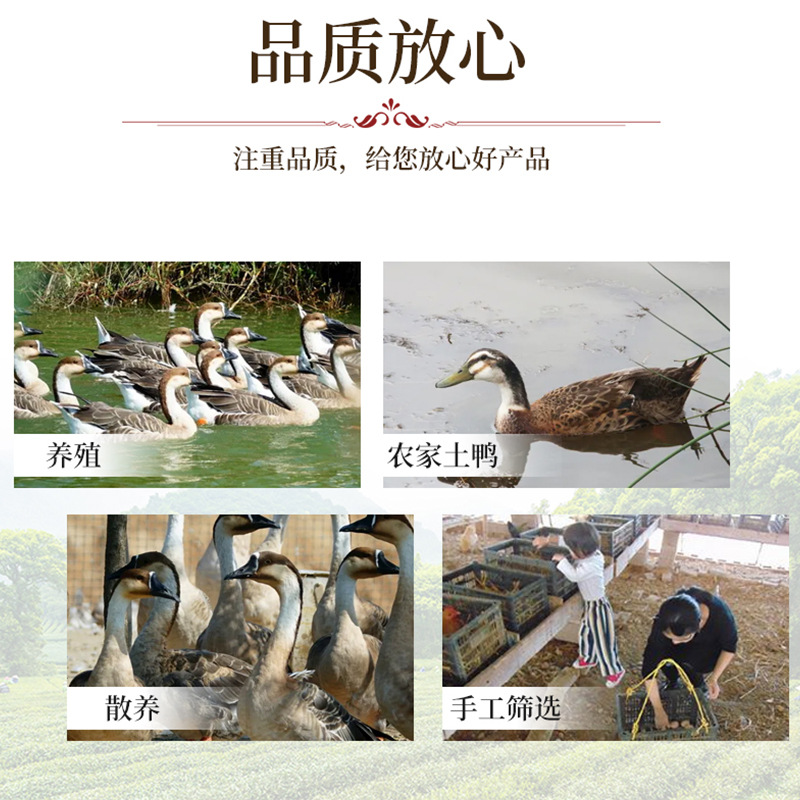 Congxiangqing Farmhouse Free Range Duck Small Cong Whole Duck Raw Duck Meat Fresh Ingredients Frozen Congyang Mediated Duck