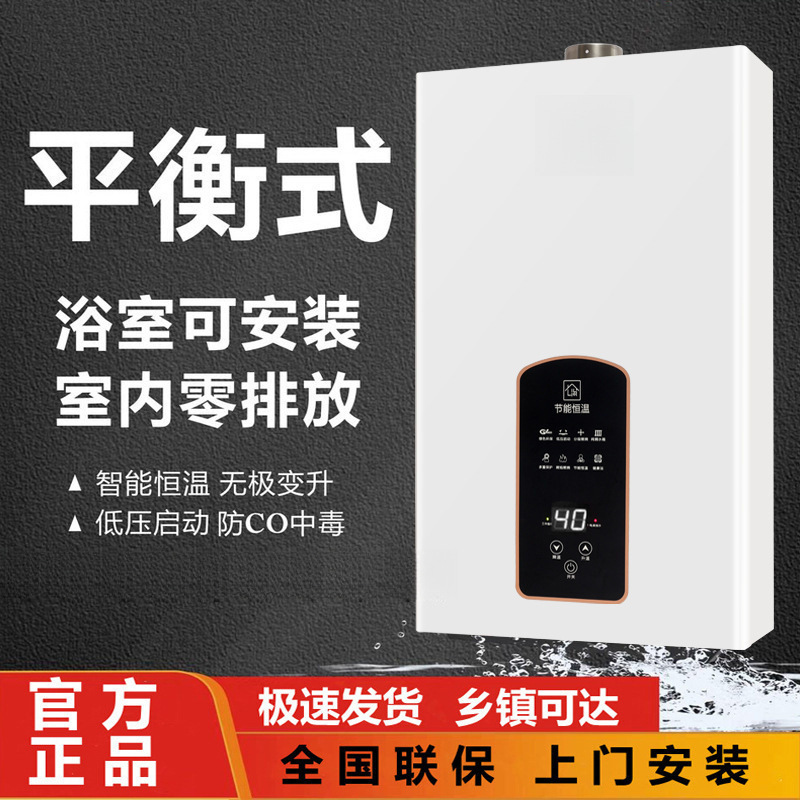 Free Shipping Gas Water Heater Electric Household Gas Bath Constant Temperature Natural Gas Forced Exhaust Liquefied Gas Balanced Type Can Be Installed