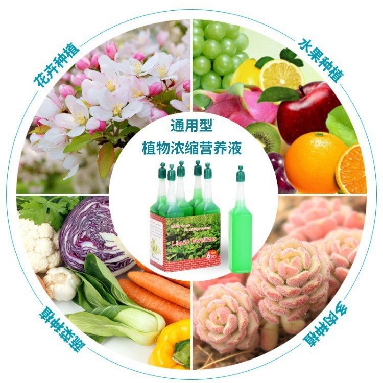 营养液植物通用型发财树加硬富贵竹花卉肥料
