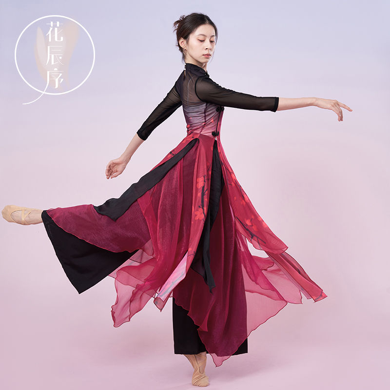 Classical Dance Practice Clothes, Elegant Gauze Pants for Women, Modern Dance Loose Wide-Leg Pants, Chinese Folk Dance Performance Clothes