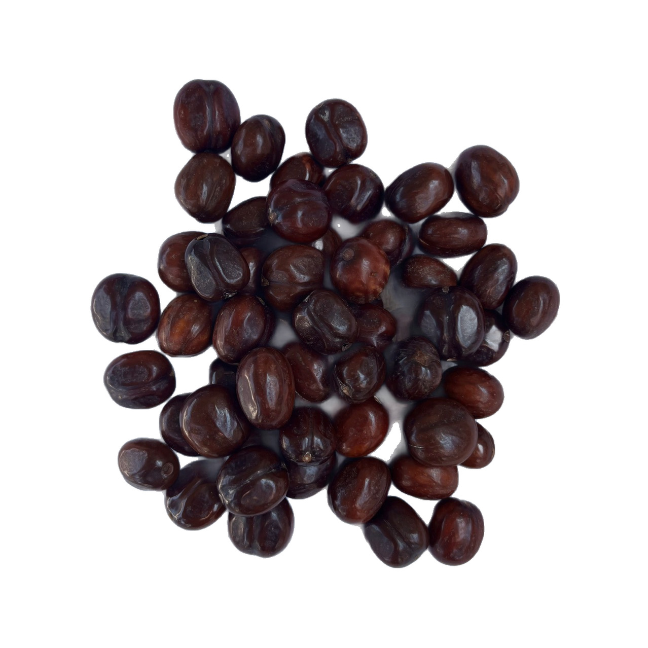 Rubber Shells in Large Quantities in Stock Indonesian Shell Wind Chime DIY Black Fruit Material Kit Handmade Shell Sound Craft