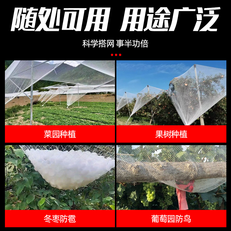 Anti-Hail Net Polyethylene Garden Grape Orchard Cross-Border Hail Net Flower Agriculture Pe Diamond Crescent Anti-Bird Net