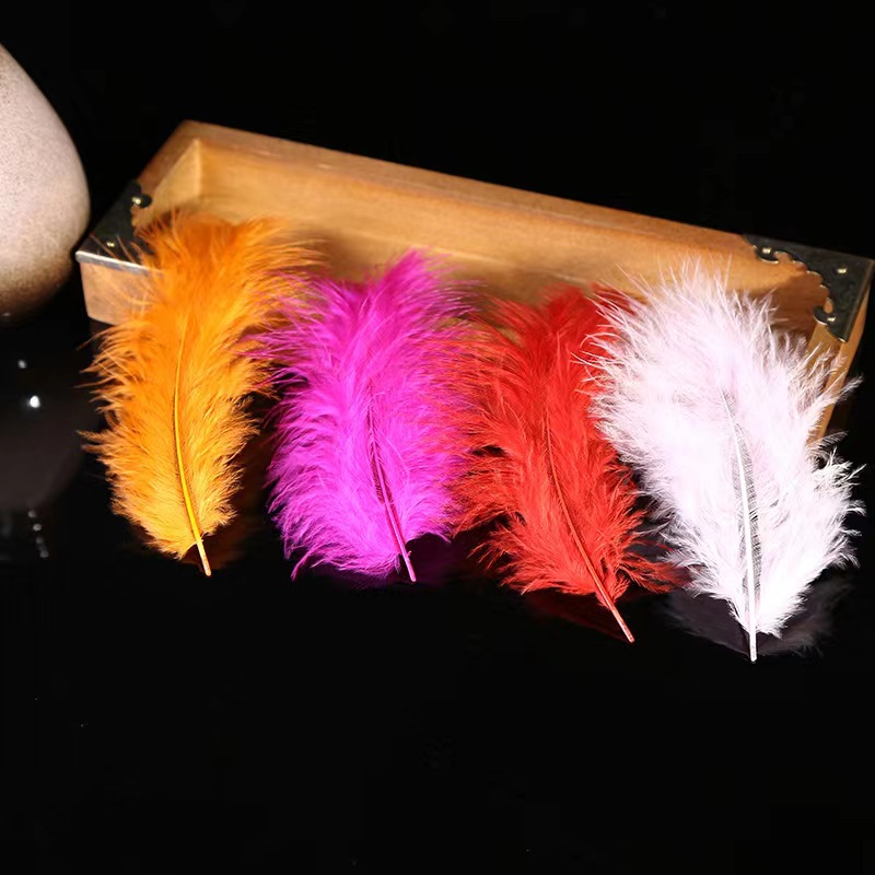 Internet Celebrity Pointed Tail Velvet Feathers Turkey Feathers DIY Earrings Necklace Jewelry Accessories Small Feathers Manufacturer Wholesale