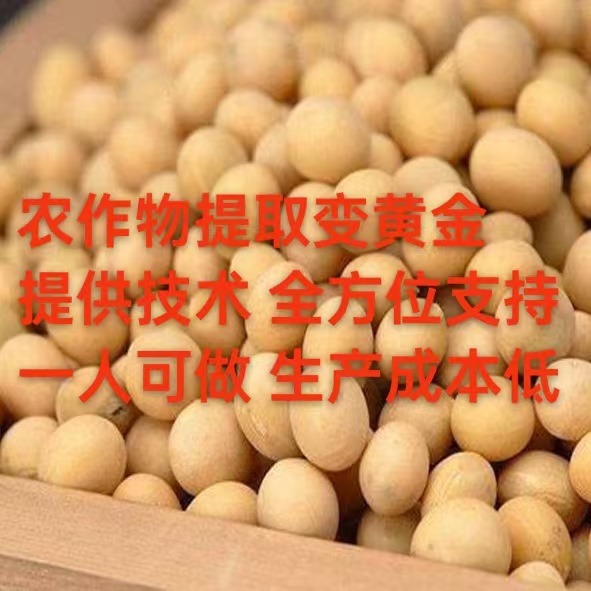 Outsourcing Semi-Finished Products for Processing at Home Is the Golden Lane for Deep Processing of Plant Protein Peptides Extracted from Corn