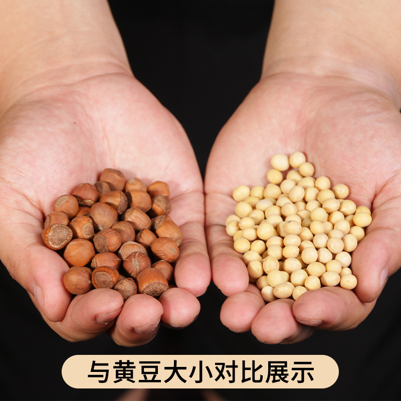 Northeast Wild Large Hazelnuts with Thin Skin and Easy to Peel, Original Fried Nuts, the King of Ironing, Healthy High-Protein Snacks