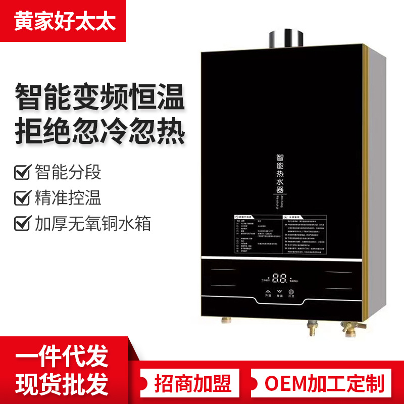 Газовый водонагреватель 12L 16L для дома, с сильным вытяжным вентилятором, экономящий энергоресурсы, производитель, оптовая продажа